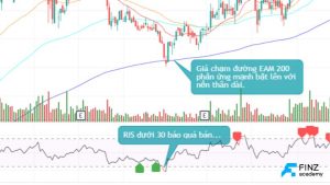 Kết hợp EMA vs RIS