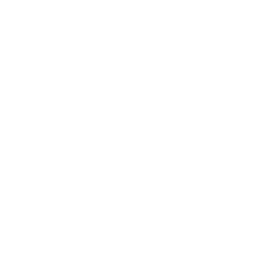 Kiến thức icon