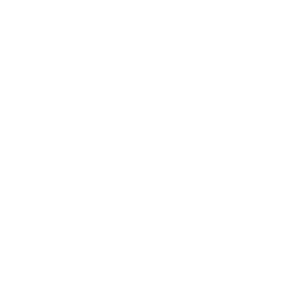 Mentor icon