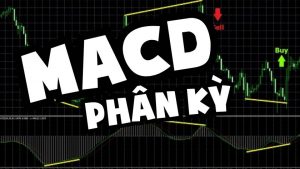 macd phân kỳ