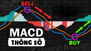 Thông số MACD